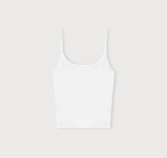 Core Singlet