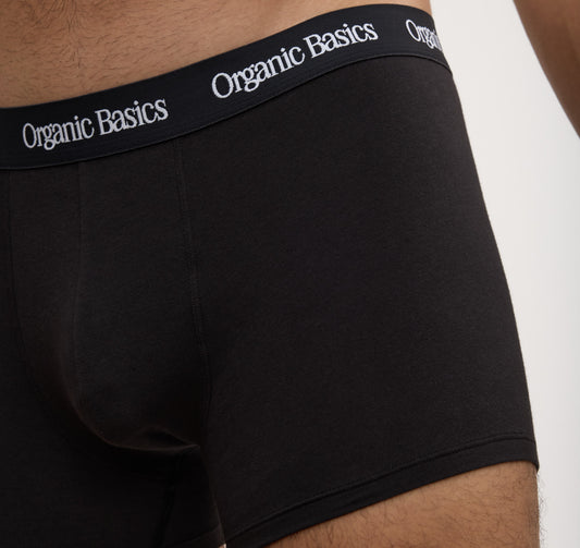 Core Trunks 6-Pack