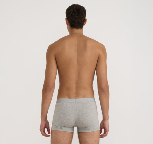 Core Trunks 12-Pack