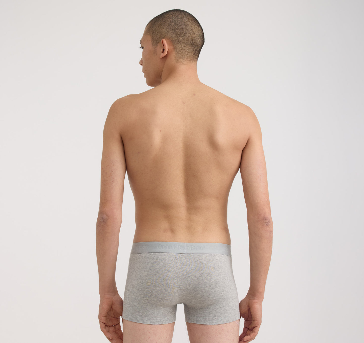 Core Trunks 6-Pack