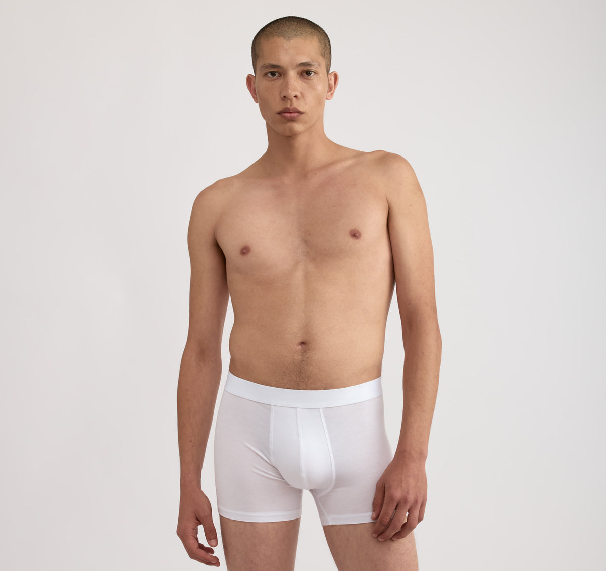 Premium Trunks 12-pack - White / Hazy / Black – view 2